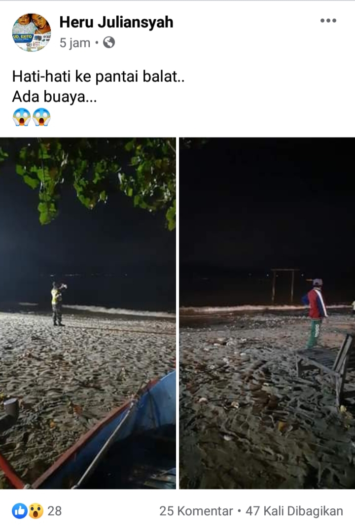 Viral, Penampakan Buaya Di Pantai Balad Taliwang – Sendapaleba.com